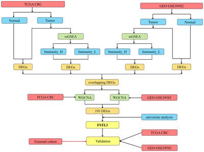 Follistatin-Like 3 Correlates With Lymph Node Metastasis and Serves as a Biomarker of Extracellular Matrix Remodeling in Colorectal Cancer